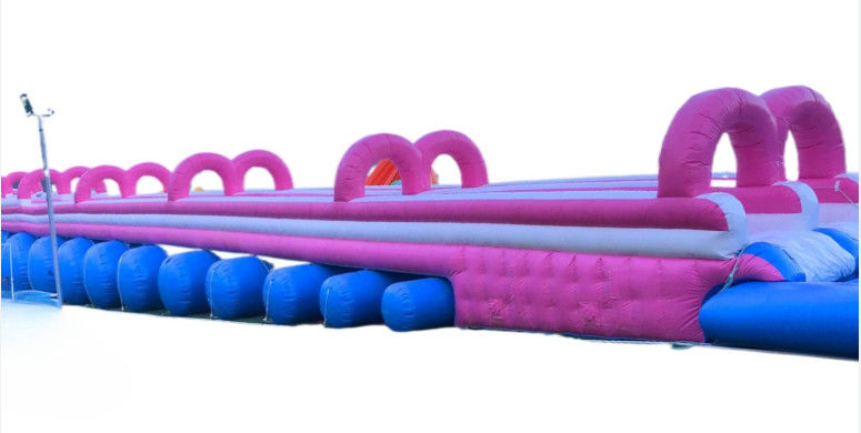 Divertente colorato scivolo d'acqua commerciale personalizzato grande scivolo d'acqua gonfiabile ippopotamo con piscina in vendita